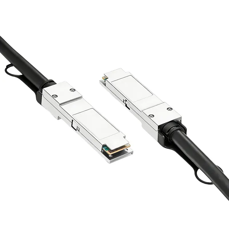 200G QSFP56 - QSFP56 パッシブ DAC Twinax ケーブル（1）