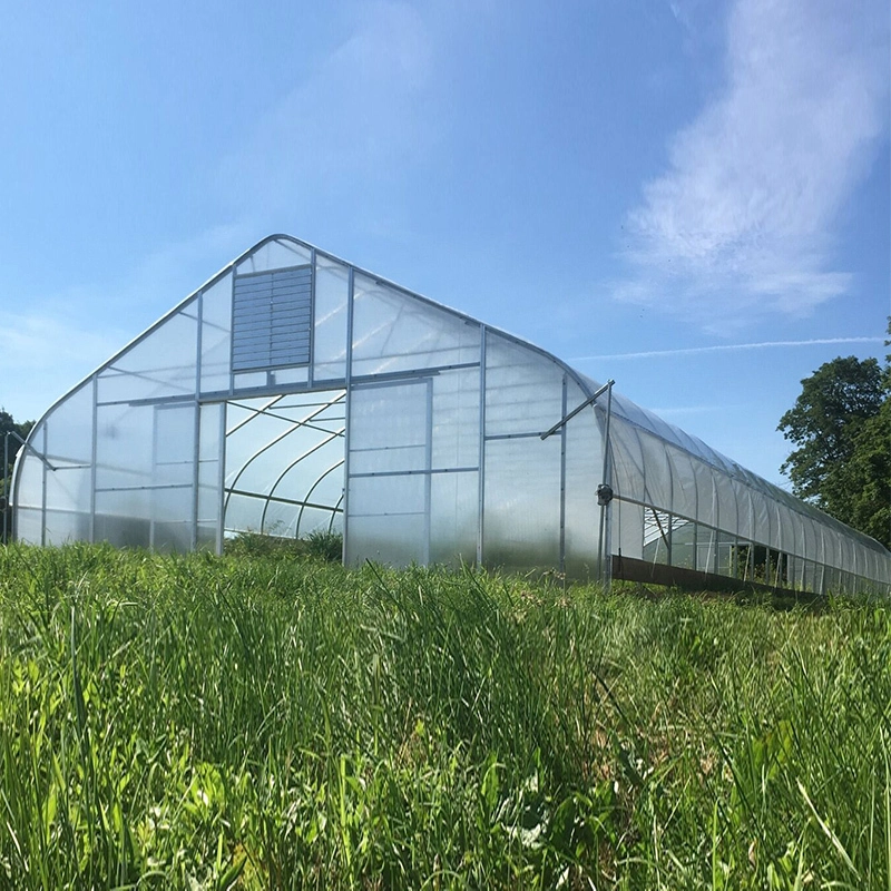 Estufa de vão único com telhado em forma de pêssego, inserida no solo 1