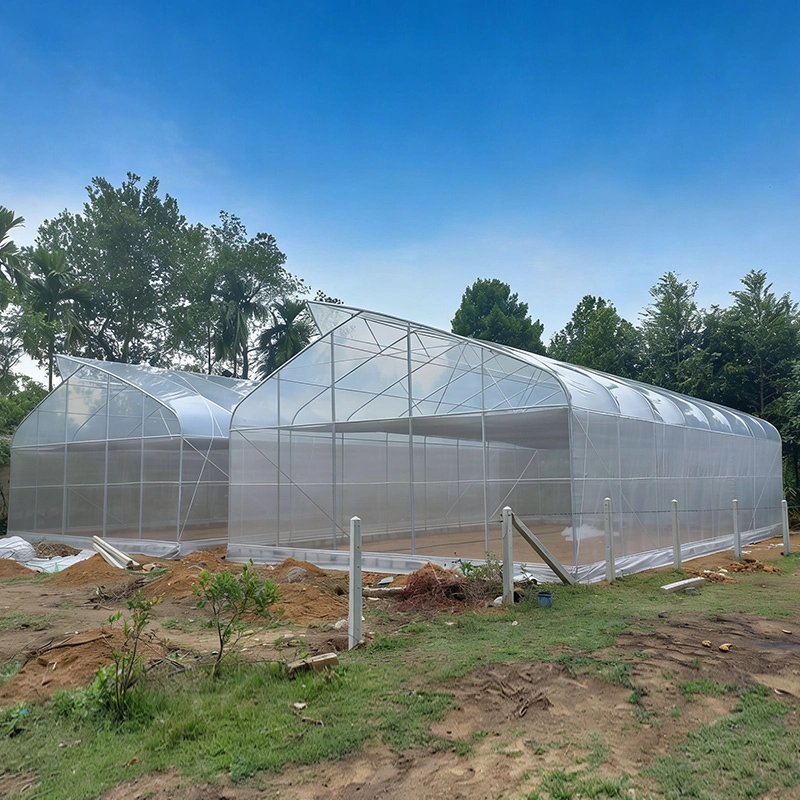 دفيئة ذات غشاء أرضي صغير مسنن ذو امتداد واحد 1