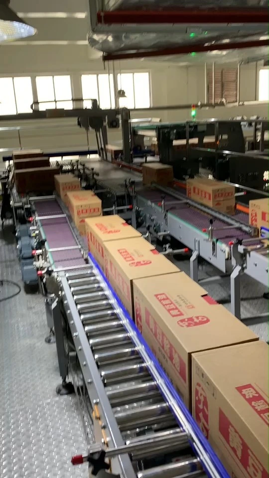 Automatic High-speed High-level Palletizer for Cartons & Boxes | Precision Industrial Case Stacking System 1