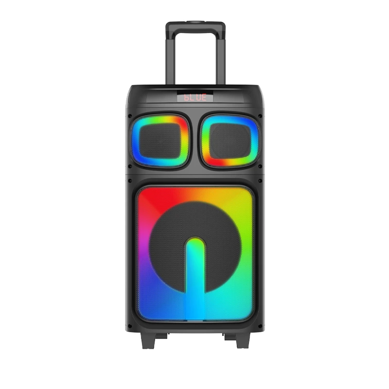 60W Party Speaker with 10″ Woofers and  Two 2″ Tweeters, With Led light show   | Deluxe AV AP-G313 1