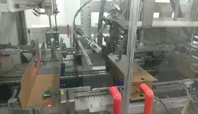 Automatic Side-Entry Wrap-Around Case Packer for Custard Sauce Pouches - WKD-CGB Series 1