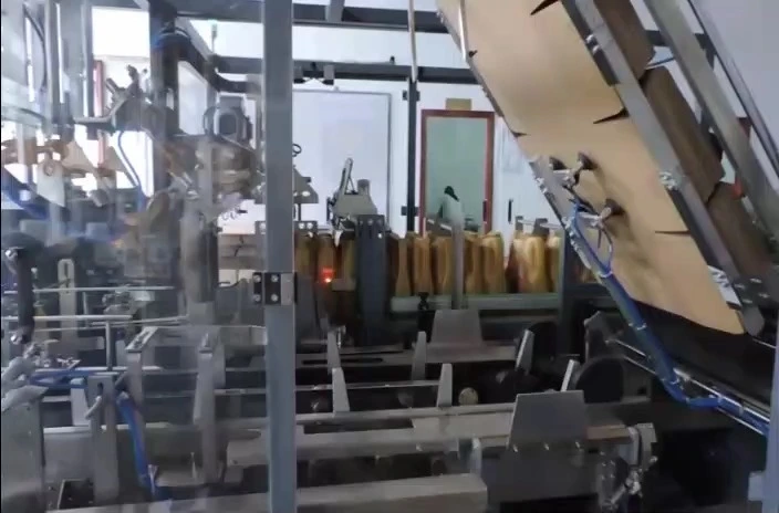 Automatic 4L Bottled Lubricant Side-Entry Wrap-Around Case Packer - WKD-CGB Series 1