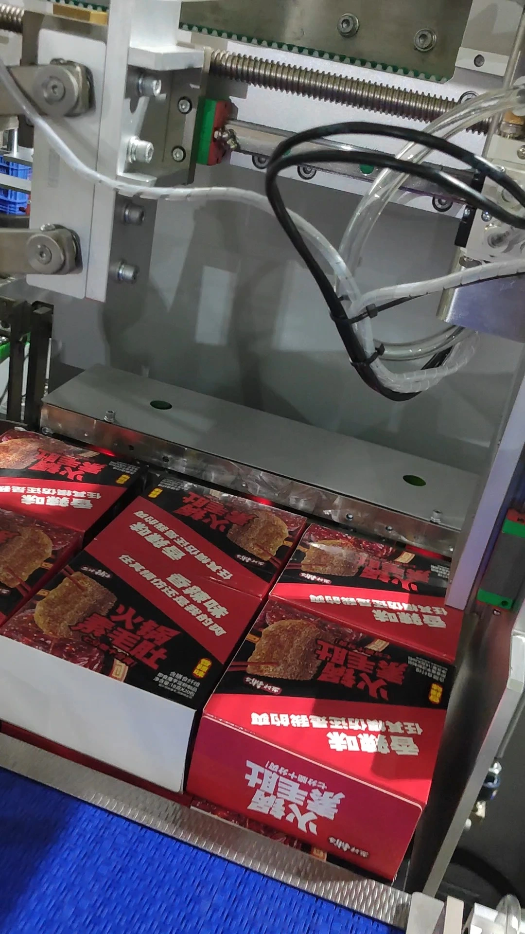 Automatic Side-Entry Wrap-Around Case Packer for Boxed Snacks - WKD-CGB Series 1