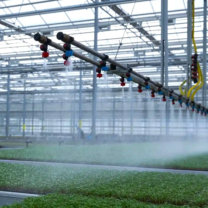Greenhouses High Pressure Fogging System 1