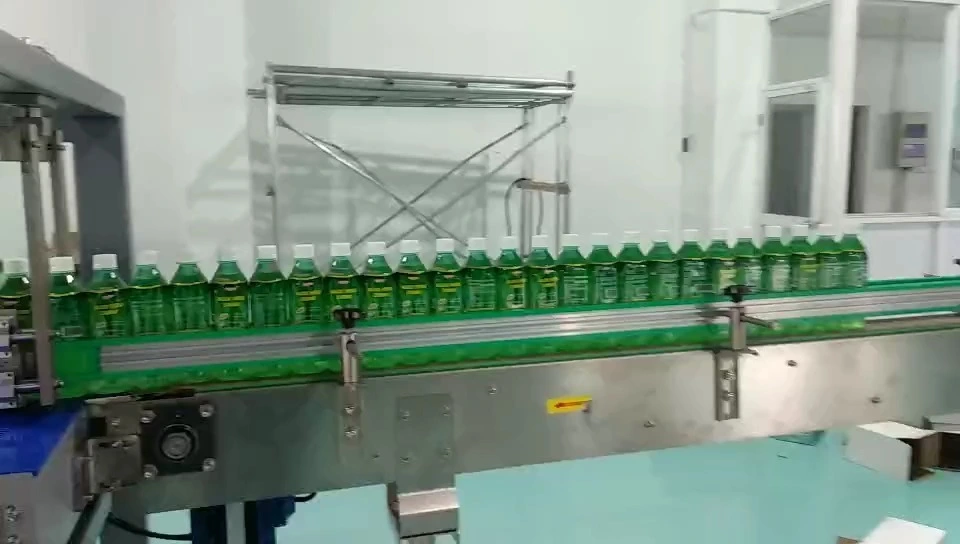 Automatic 5-Station Square Bottle Beverage Drop-Style Case Packer - WKD-DGB Series (F-Type) 1