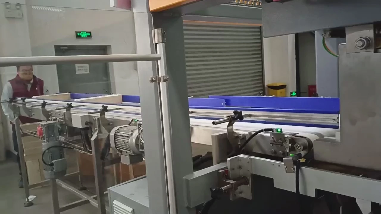 Automatic Boxed Cheese F-Series Drop-Style Wrap-Around Case Packer - WKD-DGB-F Series 1