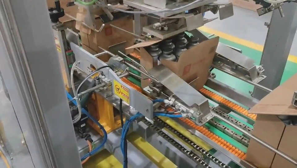 Automatic 1L Craft Beer Round Bottle Drop-Style Case Packer - WKD-DGB Series (Y-Type) 1