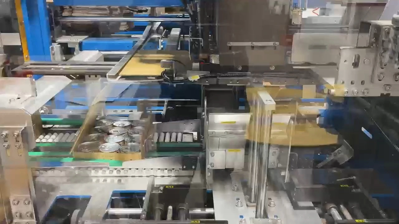 Automatischer zweilagiger Stapelkartonierer für Tierfuttergläser mit Fallmechanismus - Serie WKD-DGB (Y-Typ) 1