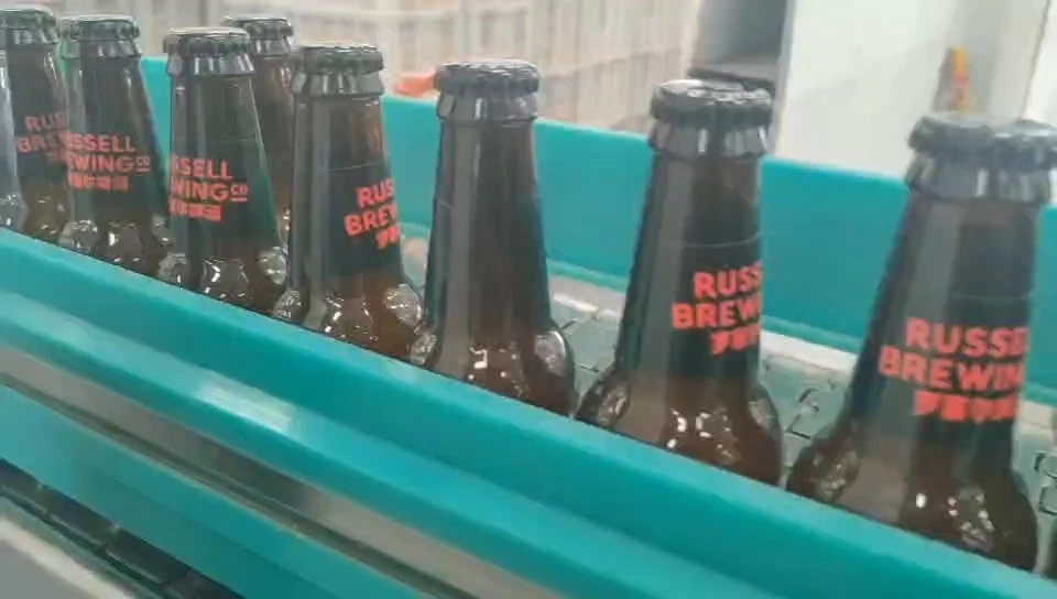 Awtomatikong Craft Beer nga Botelya nga Bildo nga Medium-Speed ​​Linear Wrap-Around Case Packer - Seryeng WKD-30 1