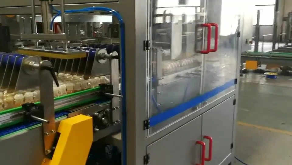 Confezionatrice automatica per imballaggi farmaceutici in film plastico - Serie WKD-CZX (doppia testa) 1