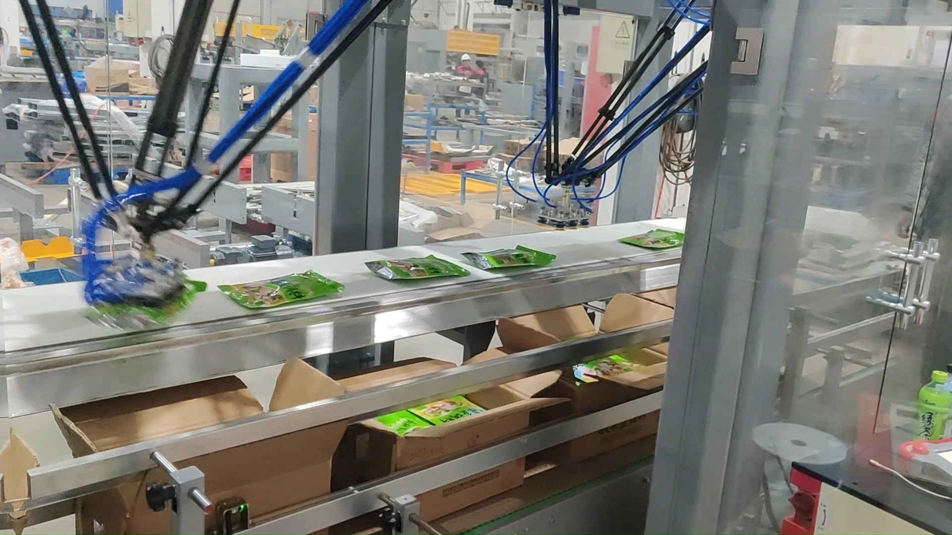 Automatic Bagged Food High-Speed Parallel Robot Case Packer - WKD-ZX-DR 1