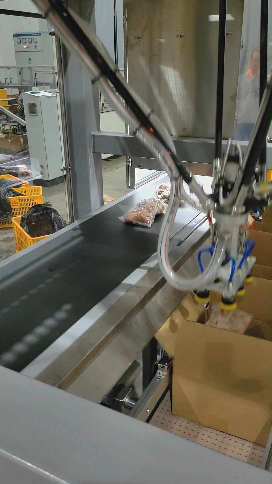 Automatic Bagged Banana Chips Parallel Robot Case Packer - WKD-ZX-DR 1