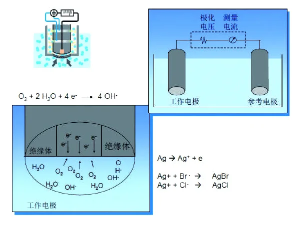 CI-TP4800手持式溶解氧分析仪-3 拷贝