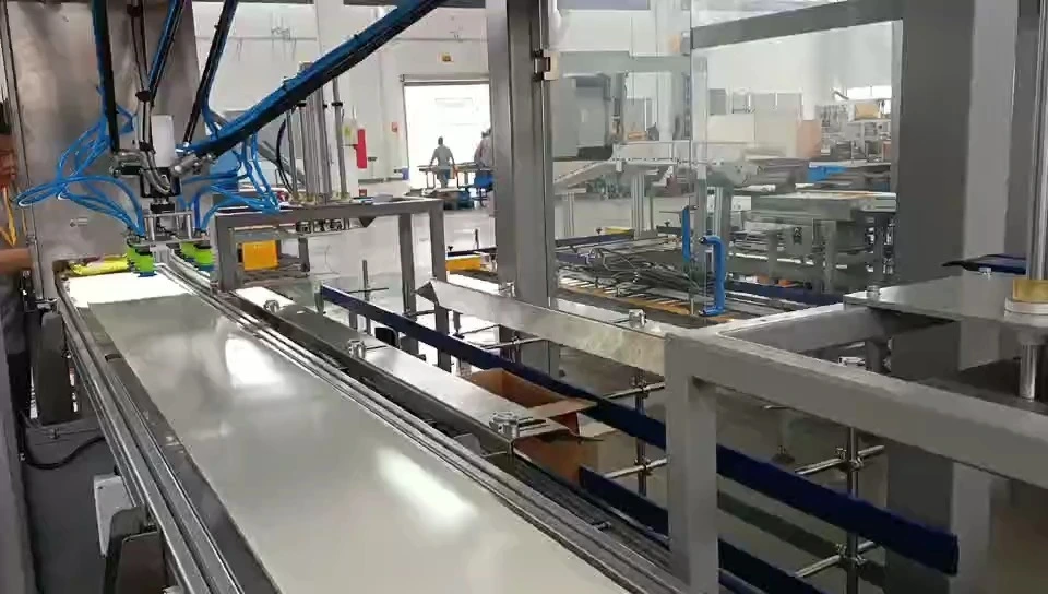 Máy đóng gói thực phẩm tự động tốc độ cao song song - WKD-ZX-DR (Hệ thống chọn hàng kép) 1