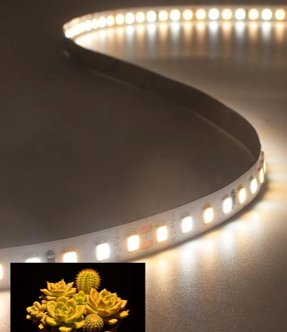 Full spectrum DC24V 12W 14W 8mm Width Plant Grow LED Strip 1