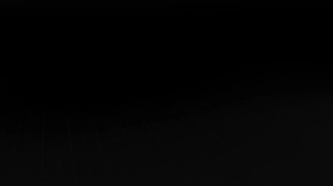 Terminal de reconnaissance faciale à double caméra 8 pouces avec lecteur de cartes RFID BLS-F8000 1