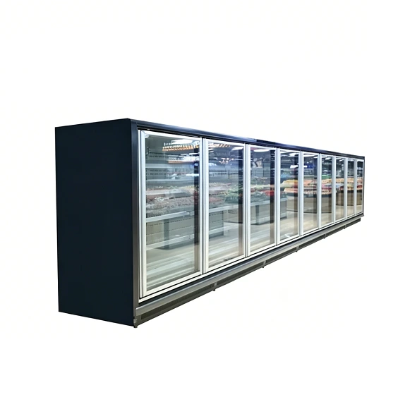 خزائن عرض المجمدات التجارية من كايسيد – مجمد بباب زجاجي موفر للطاقة مع أرفف قابلة للتعديل للمتاجر الكبرى 1