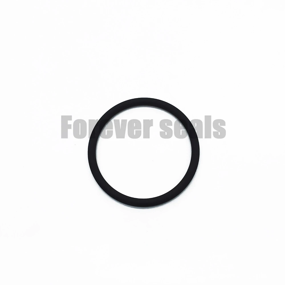 FKM UL94 Fire-Resistant Industrial O-Ring 1