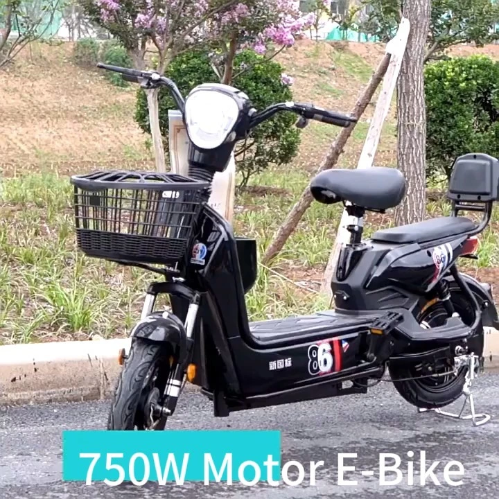 DomeRide 2-Wheeled Commuting E-Bike Customized Adult Electric Bicycle Dual-use Electric Scooter for Men and Women Long Endurance 1