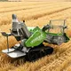 Paddy Harvesting Machine by SIF Machinery 5