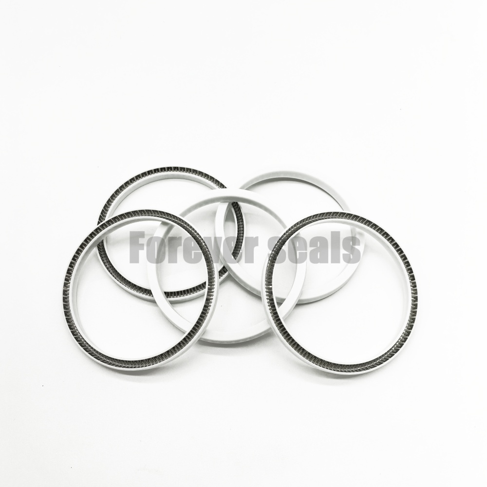 Sello energizado por resorte de PTFE modificado con relleno de fibra de vidrio 1