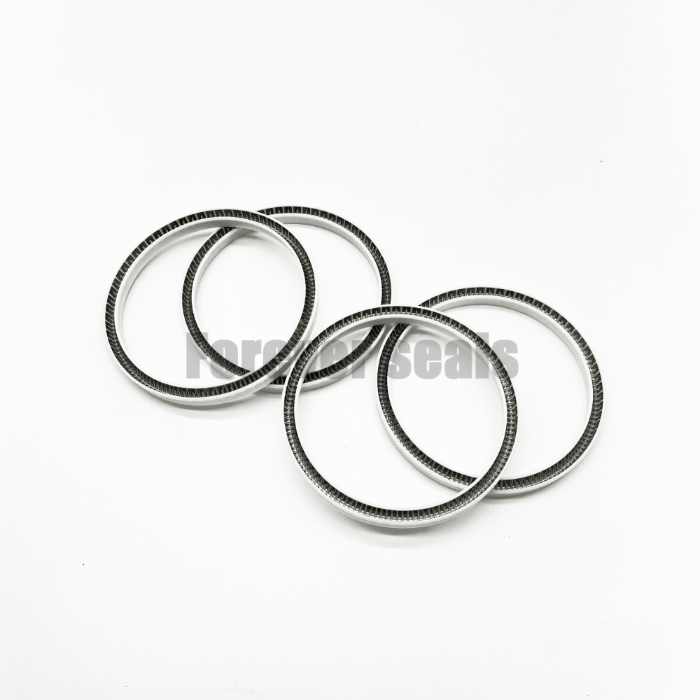 Sello energizado por resorte de PTFE modificado con relleno de fibra de vidrio 3