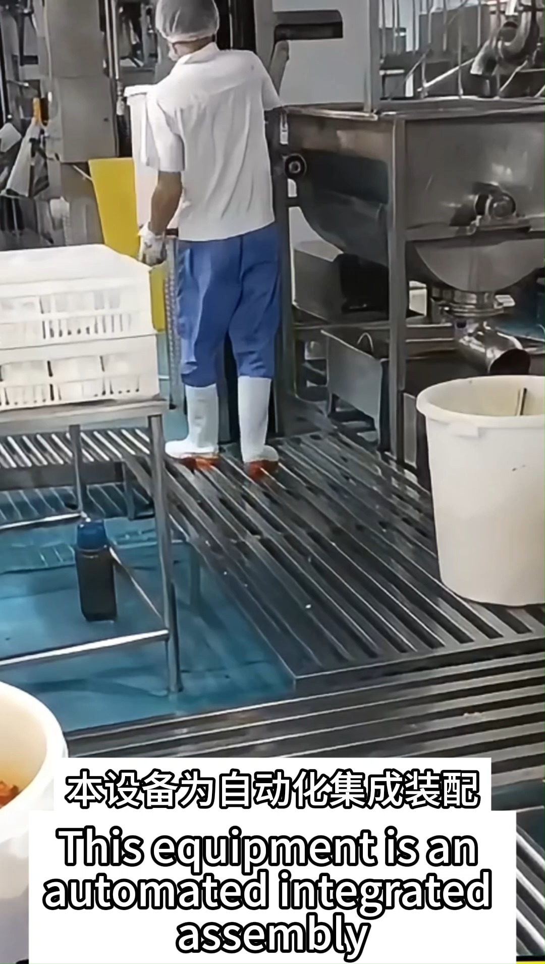 Deep Processing Mixer for Chili Products