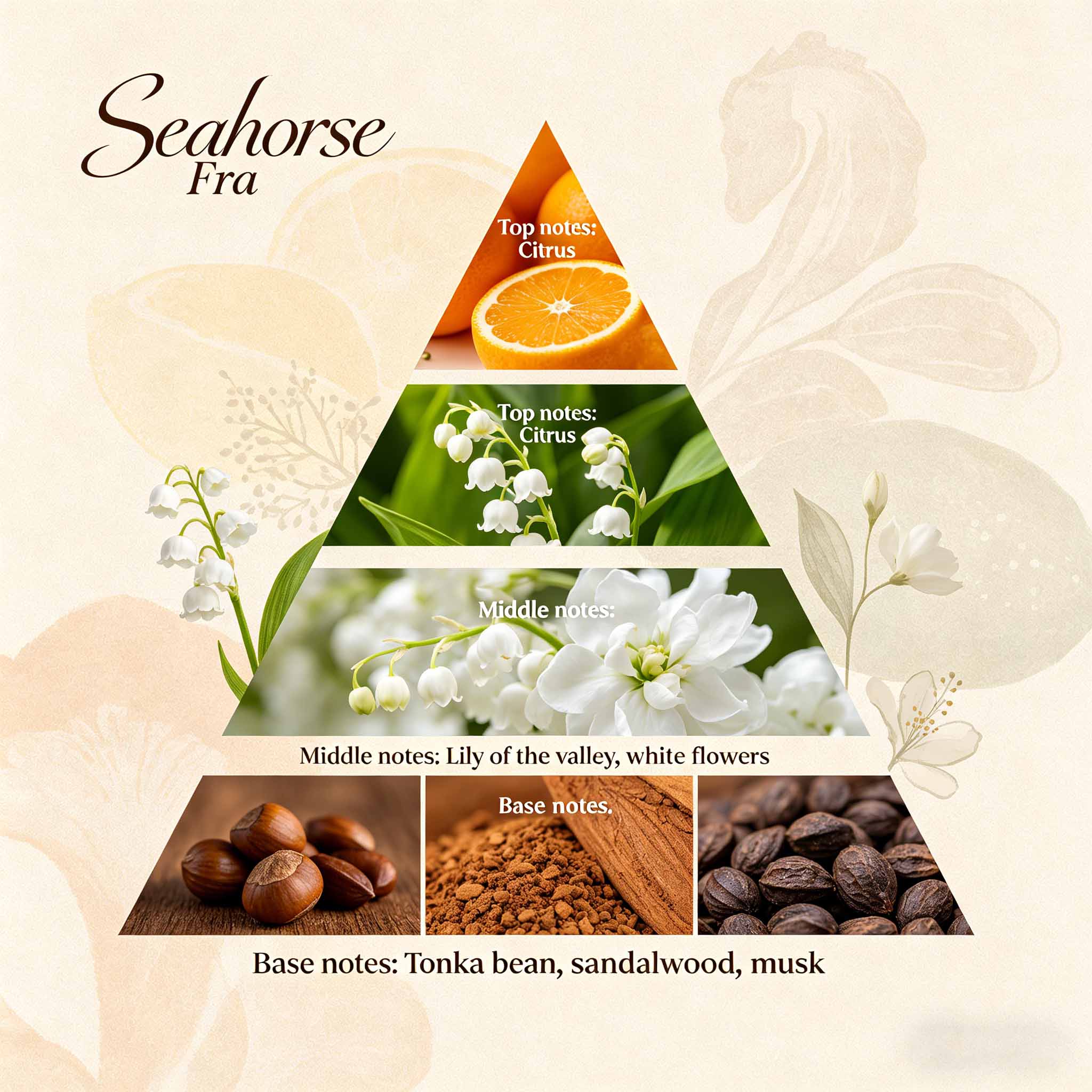 Wholesale Inspired Brand Laundry Aroma Oil 2