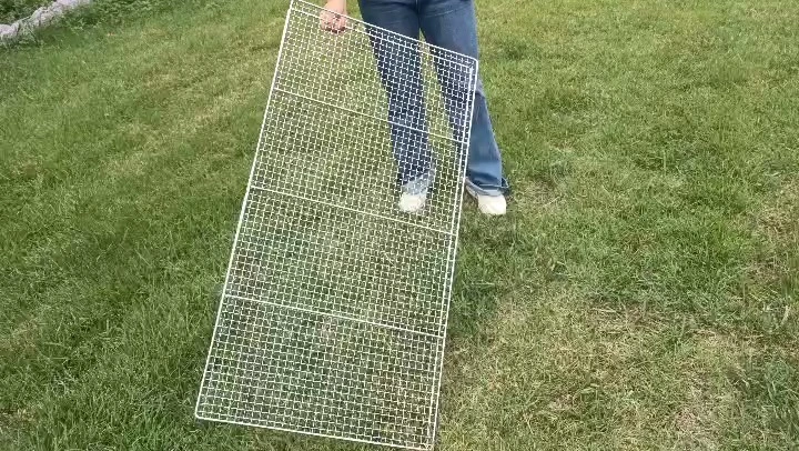 Customized Food Grade Fruit and Vegetable Mesh Drying Basket 1