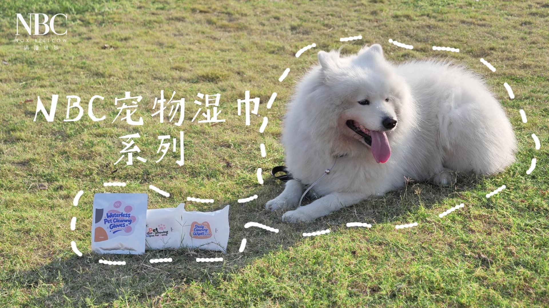 NBC宠物湿巾系列