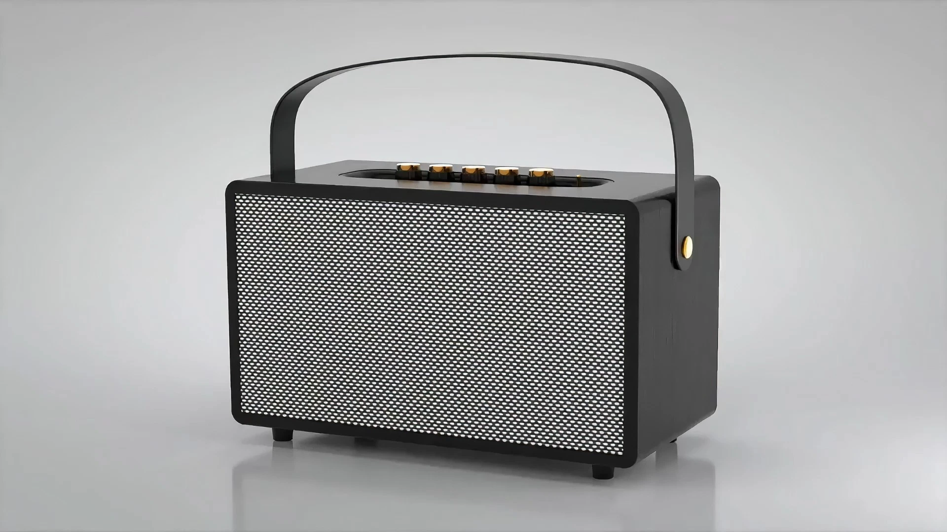 Mini enceinte karaoké Bluetooth portable 25 W avec deux haut-parleurs de 10 cm et radio FM | Deluxe AV HF-Z21 1