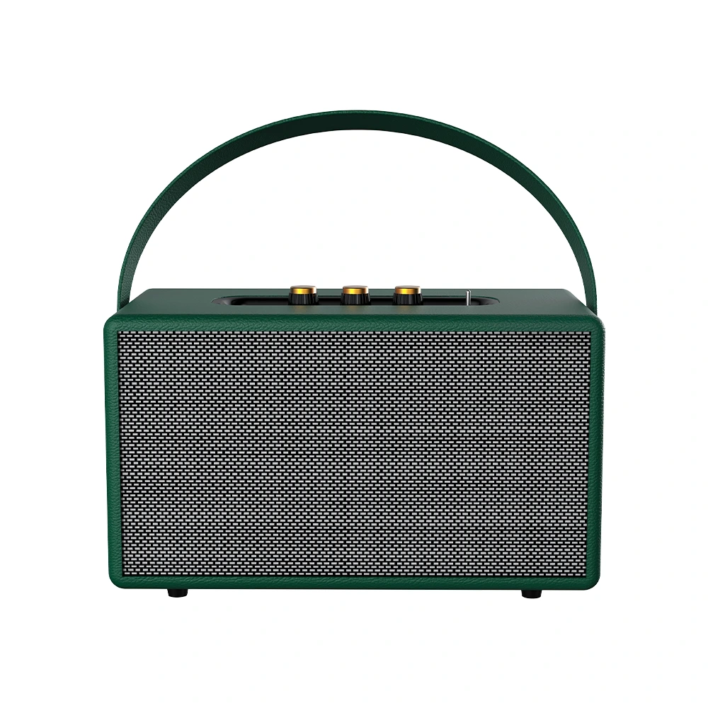 Mini enceinte karaoké Bluetooth portable 20 W avec deux haut-parleurs de 10 cm et radio FM | Deluxe AV HF-Z20R 1