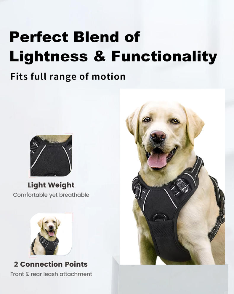 Arnés para perros ROADREIGN-Comfort-Fit de malla transpirable: chaleco suave que evita rozaduras para razas grandes. 2
