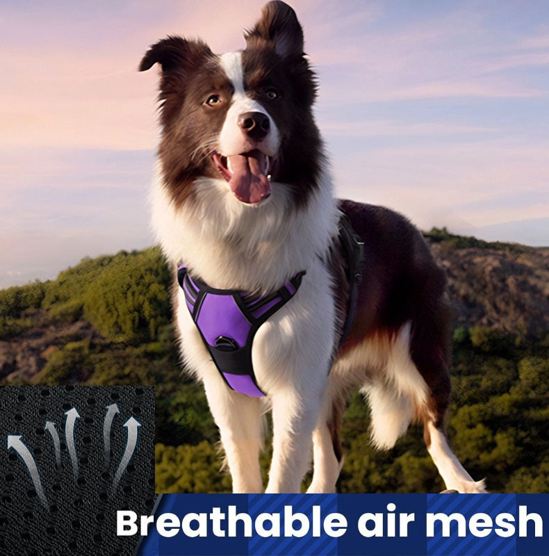 Arnés para perros ROADREIGN-Comfort-Fit de malla transpirable: chaleco suave que evita rozaduras para razas grandes. 4