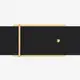 Plate Buckles Plate Buckle Manufacturer Company 4
