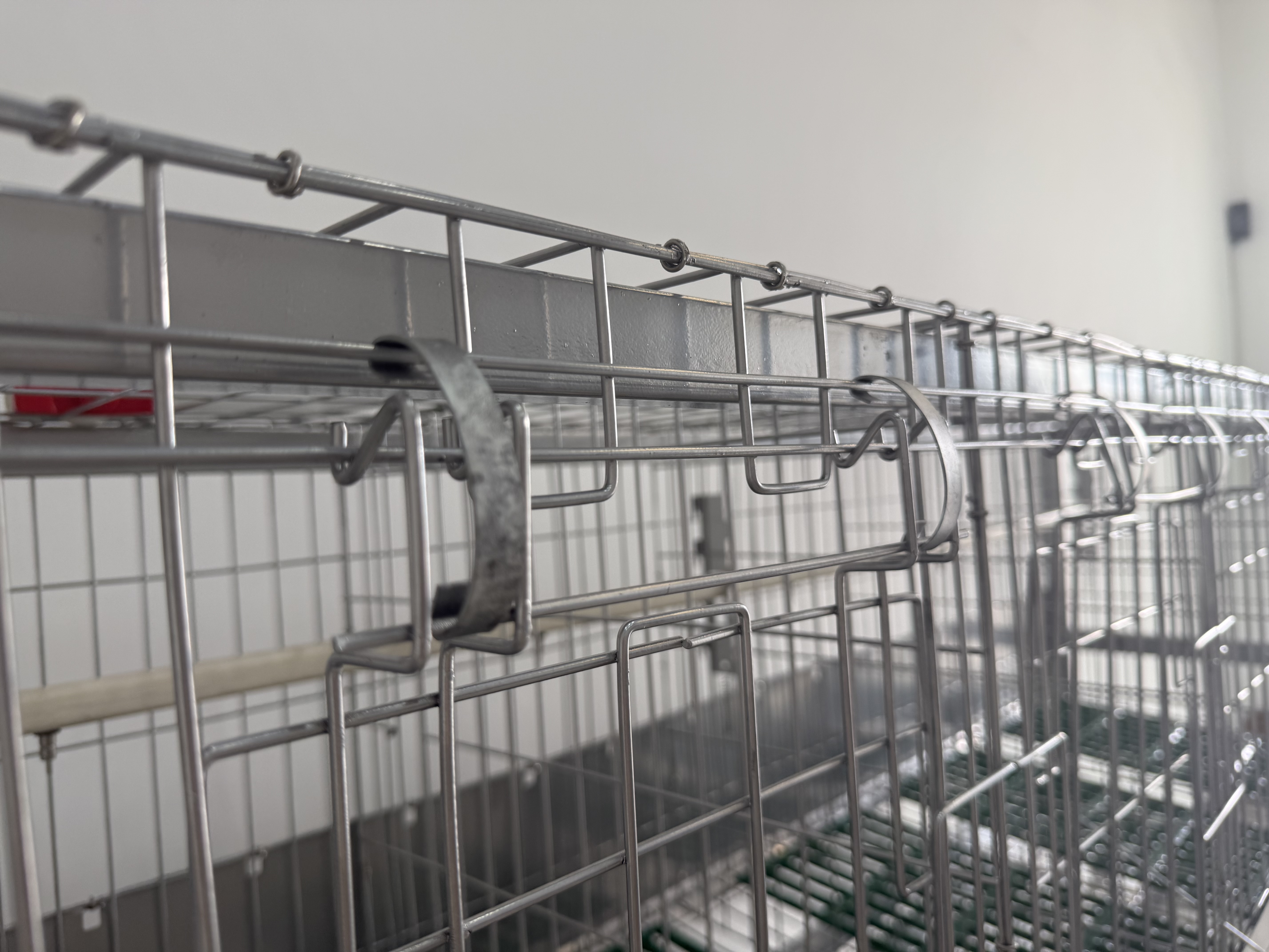 Double layered ten duck egg cage in the laboratory 2