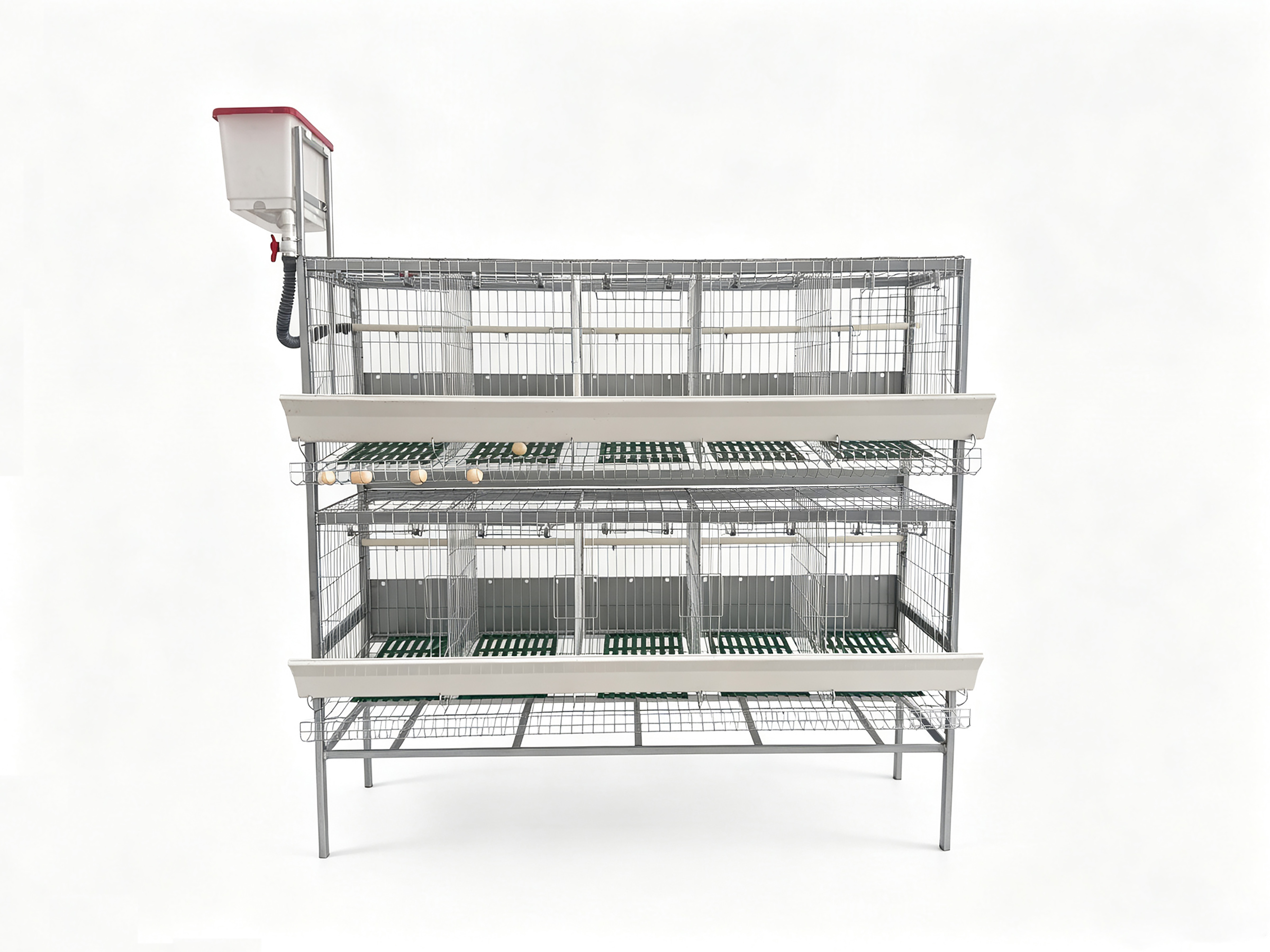 Double layered ten duck egg cage in the laboratory 1