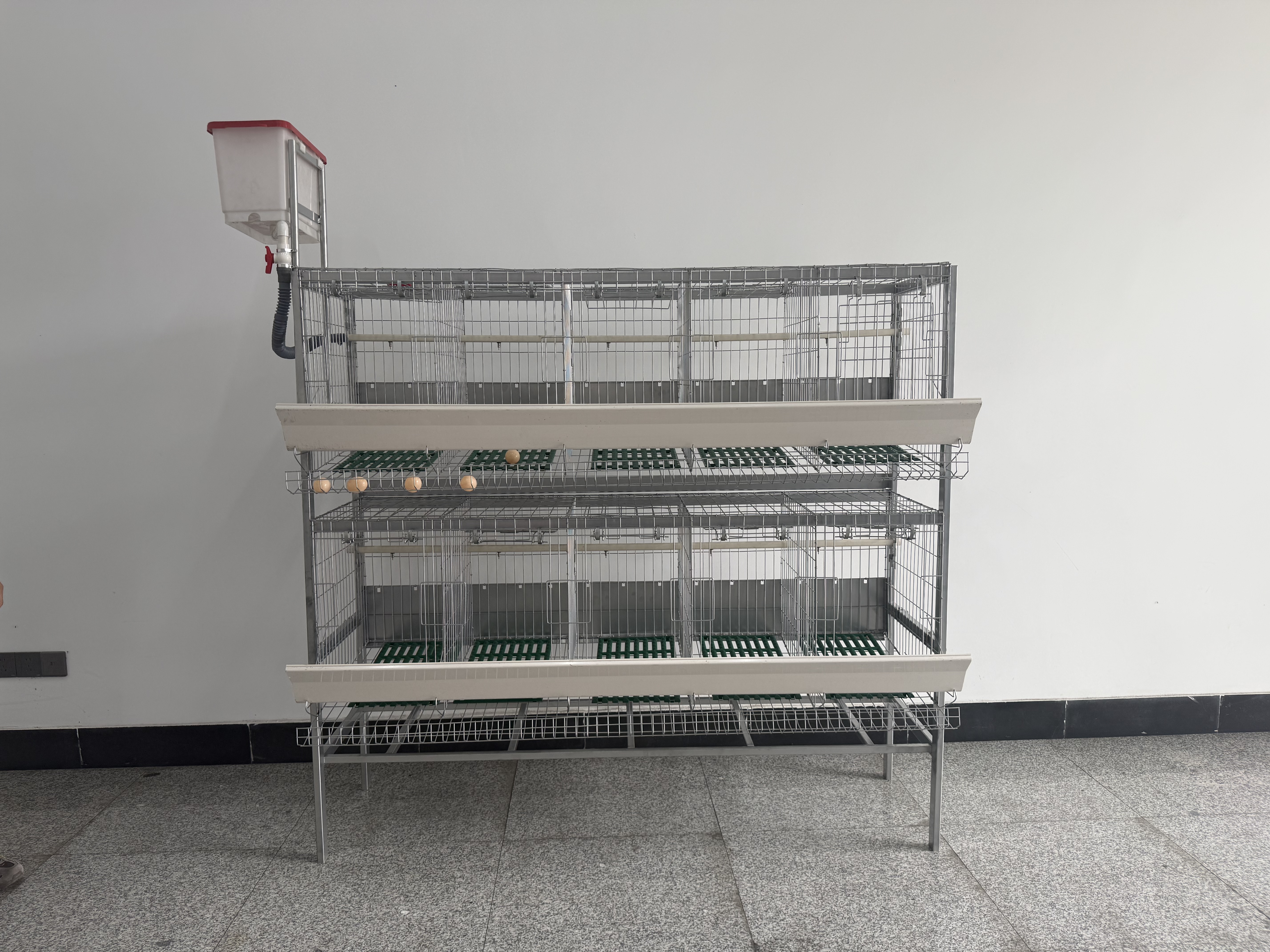 Double layered ten duck egg cage in the laboratory 3