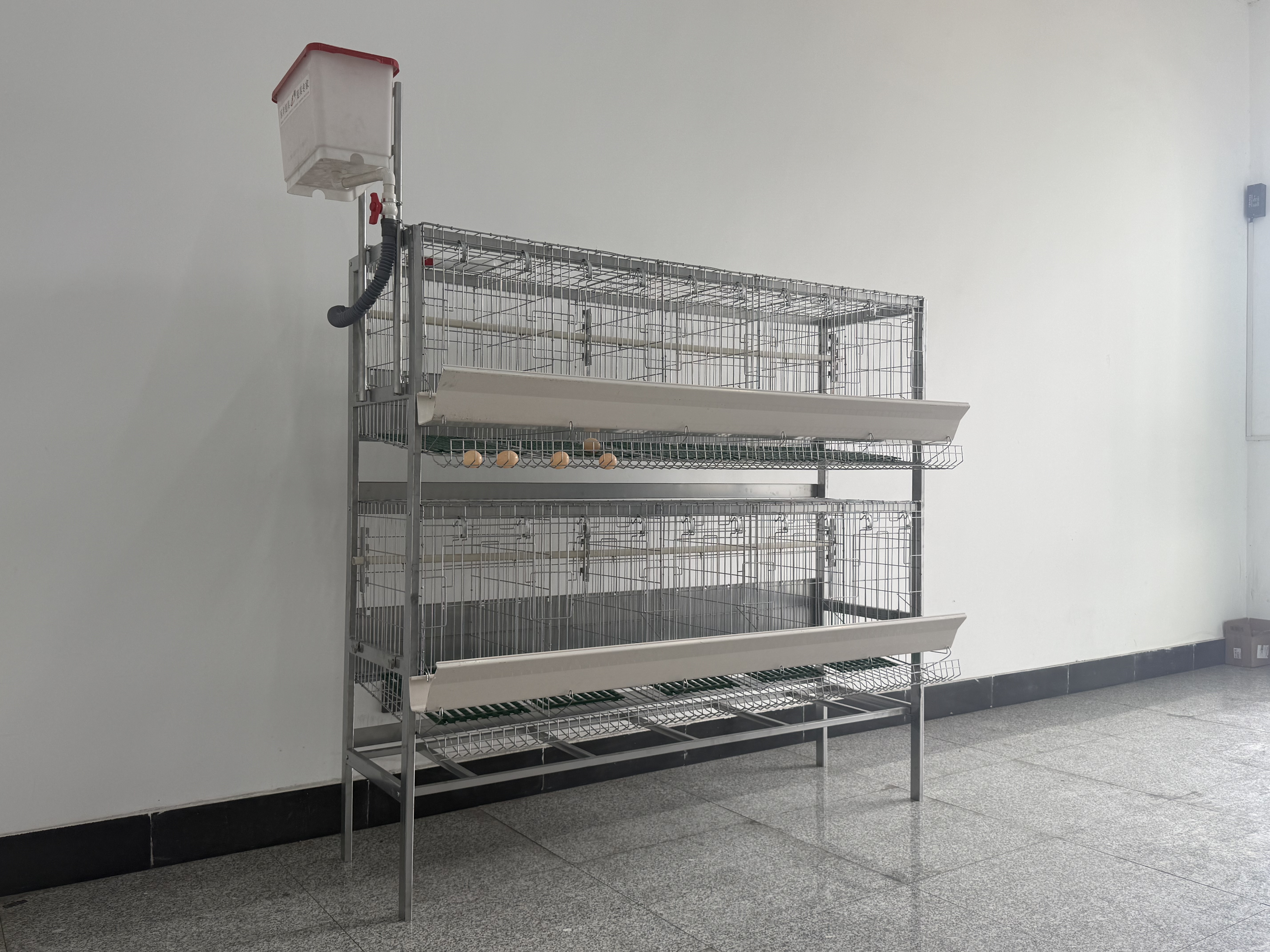 Double layered ten duck egg cage in the laboratory 5