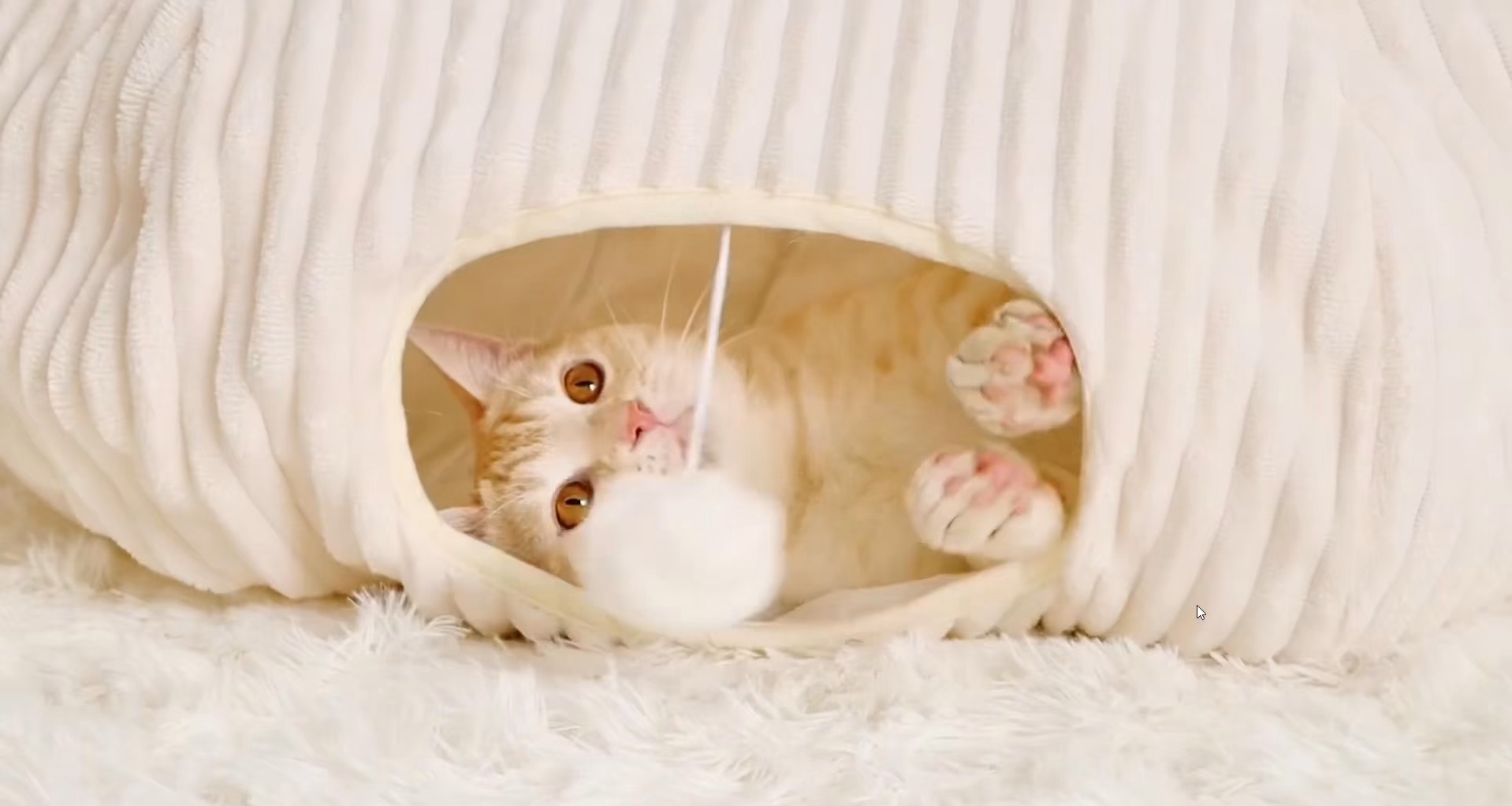 ROADREIGN Semi-Enclosed Donut Cat Tunnel & Bed — Cloud-Soft Accordion-Ribbed Plush Hideout with Sunken Nest & Pom-Pom Toy, Removable Center Cushion, Zip-Open Foldable Design 1