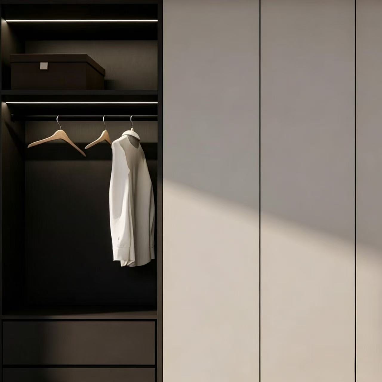 Drawers and storage modules of modern wardrobe