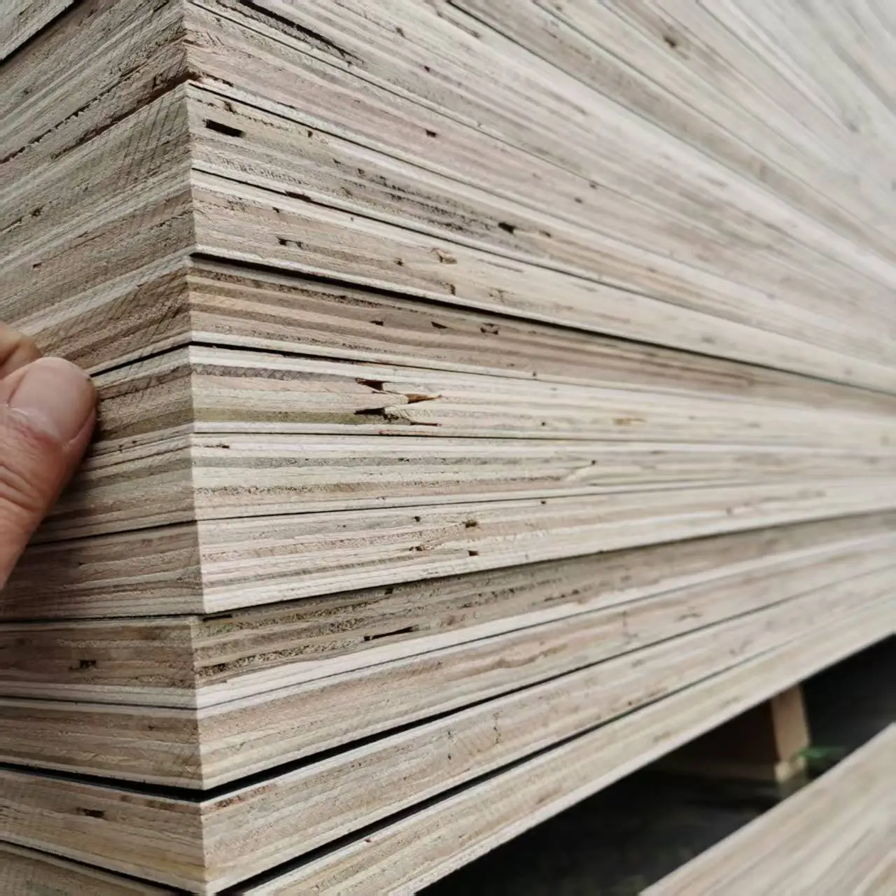 Film Faced Plywood / Plywood / Melamine Faced Plywood — Plastic-Coated Board / Film Faced Board / Wood Formwork 1