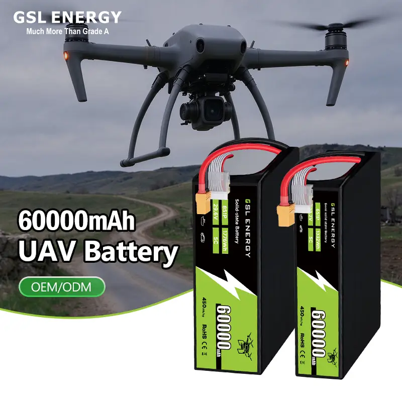 Batería del abejón de la ENERGÍA 60Ah 60000mAh de GSL