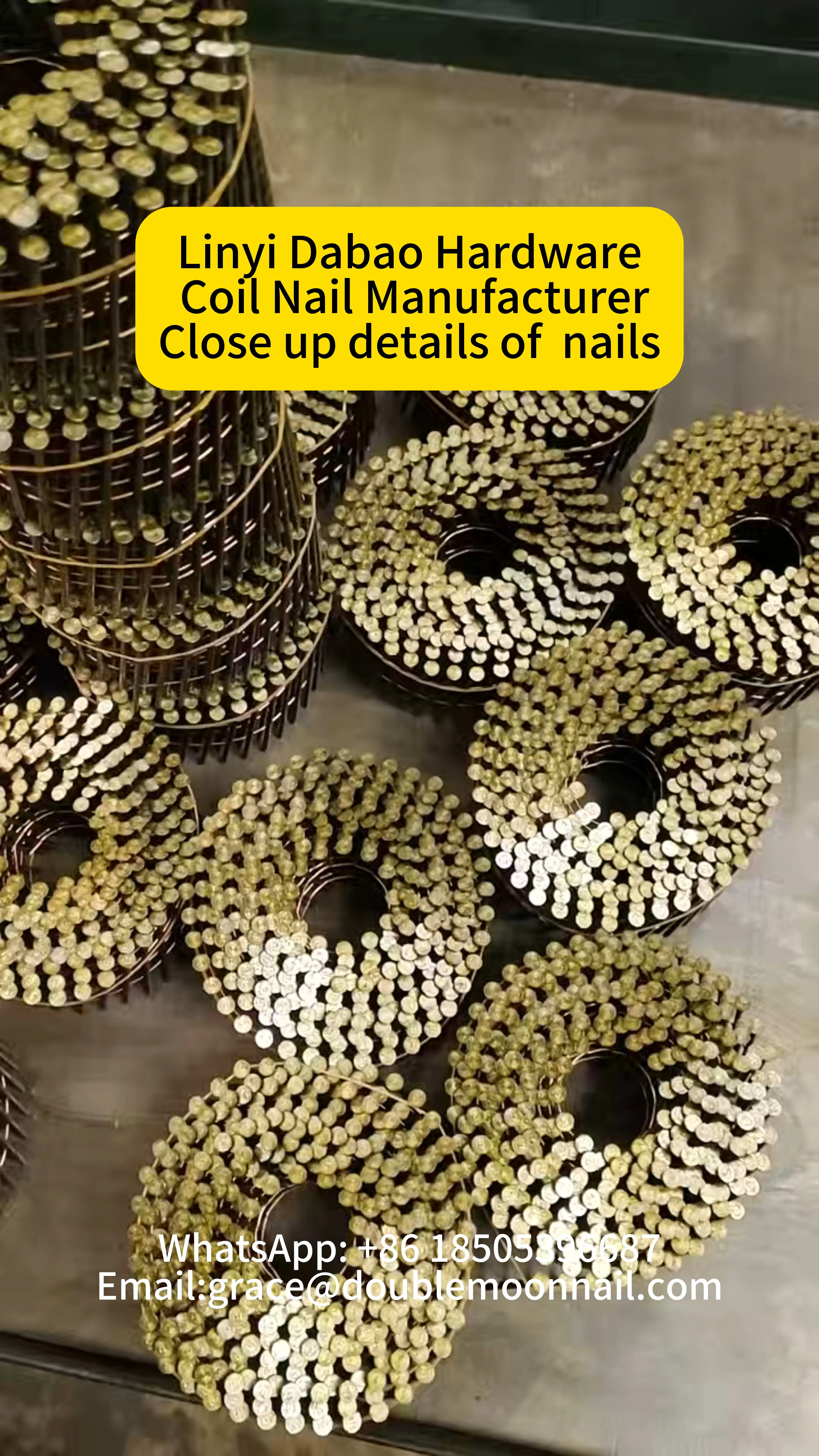 Vineyard Trellis Coil Nails, HDG, Ring Shank, Outdoor Grade, Q235 1