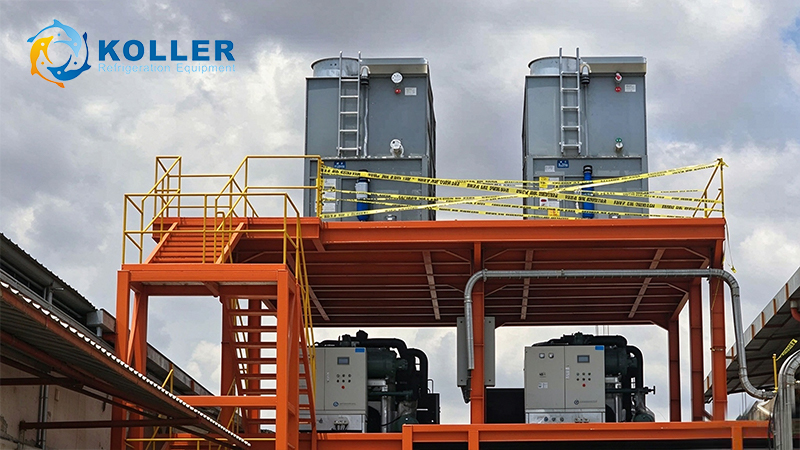 How to Plan a 50-Ton Flake Ice Machine for Poultry Processing