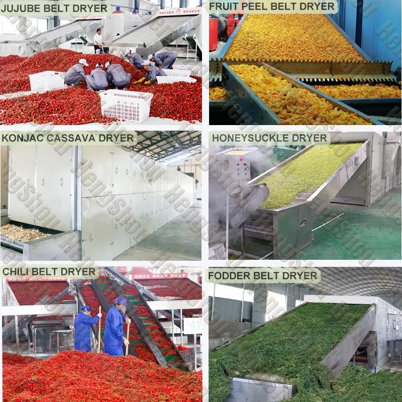 ShouChuang Vegetable and Fruit Dryer Machine Spice Mesh Belt Dryermanufacturer 6