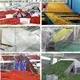 ShouChuang Vegetable and Fruit Dryer Machine Spice Mesh Belt Dryermanufacturer 6