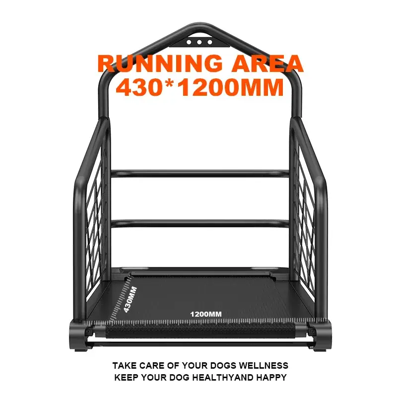 Ciapo Best Value Treadmill 1410*765*155mm Best Value Treadmill Supplier 6