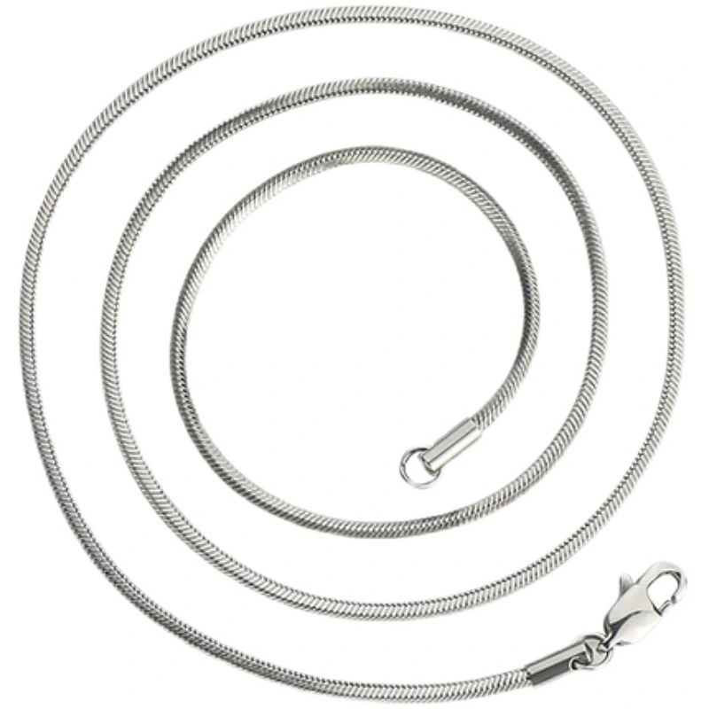 New Tide Titanium Steel Snake Bone Chain Light Luxury High Grade Chain Accessories Female Clavicle Chain 1